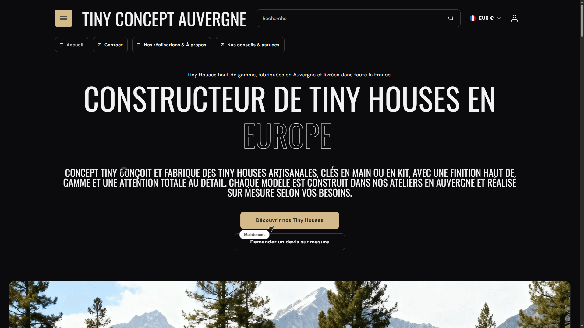 Site Web Professionnel